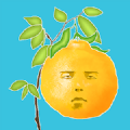 臉樹游戲安卓下載