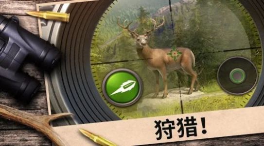 狩獵競(jìng)賽游戲安卓版截圖3