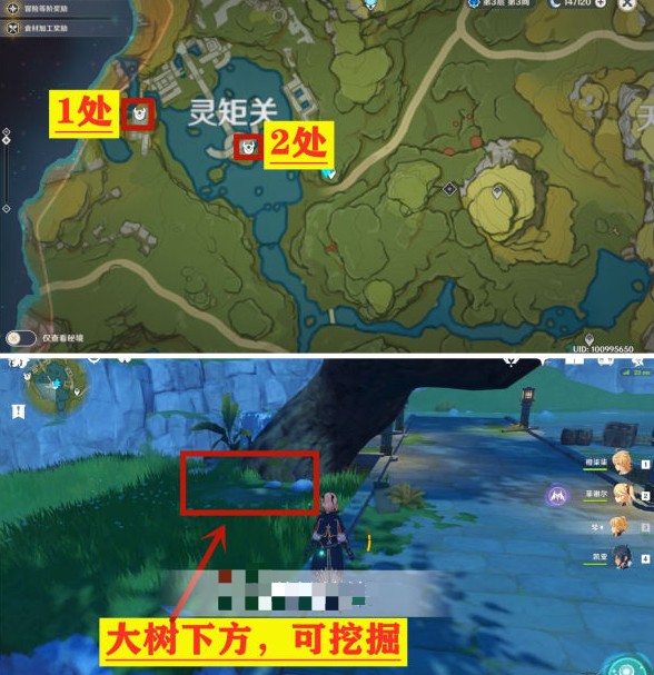 原神靈矩關(guān)無名寶藏在哪？青墟浦、靈矩關(guān)寶藏獲取攻略