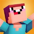 Noob Vs Pro