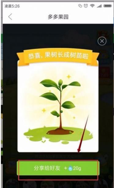 多多果園下載安裝免費種樹app送水果截圖2