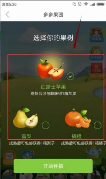 多多果園下載安裝免費種樹app送水果截圖3