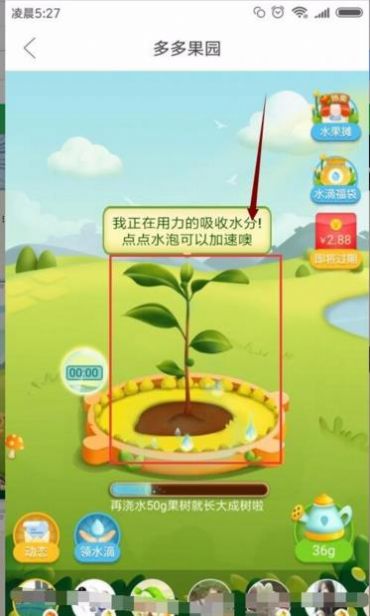 多多果園下載安裝免費種樹app送水果截圖4