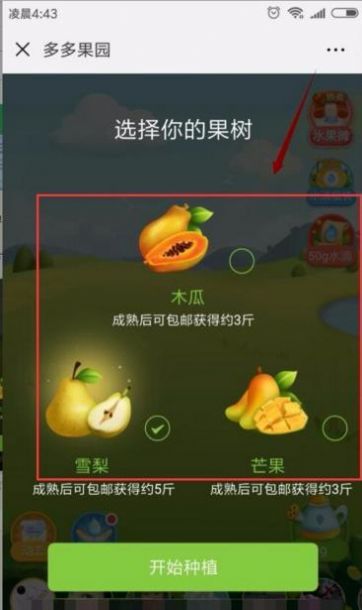 多多果園下載安裝免費種樹app送水果截圖1