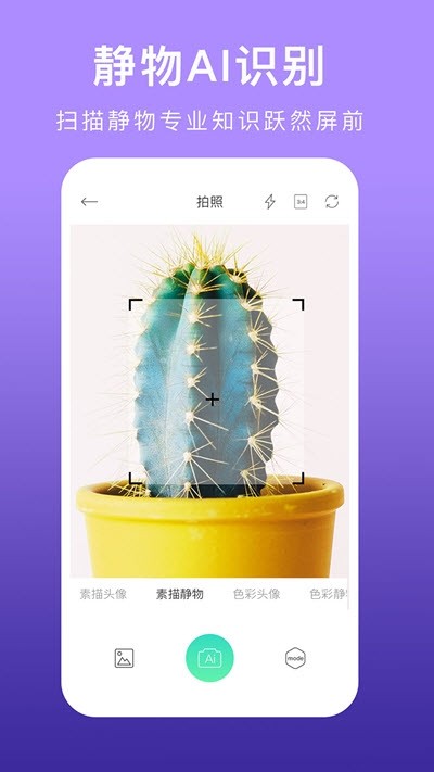 美術(shù)拍相機(jī)APP安卓版截圖1