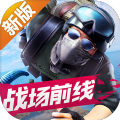 代號(hào)FB游戲正式版