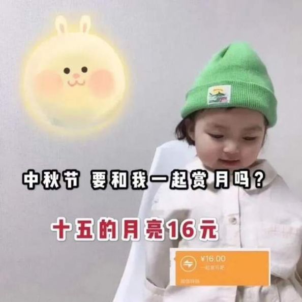 十五的月亮十六元是什么意思？微信十五的月亮十六元圖片表情包大全