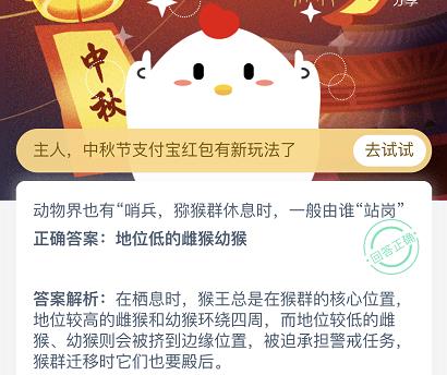 動(dòng)物界也有哨兵，獼猴群休息時(shí)一般由誰(shuí)站崗？螞蟻莊園9月30日答案最新