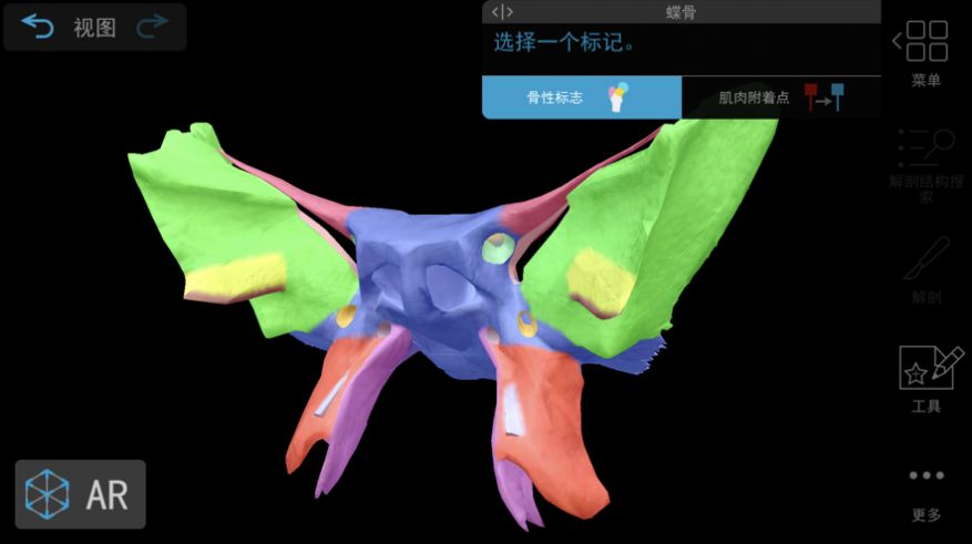 2020肌肉與運(yùn)動(dòng)機(jī)能學(xué)最新版APP安卓下載截圖3