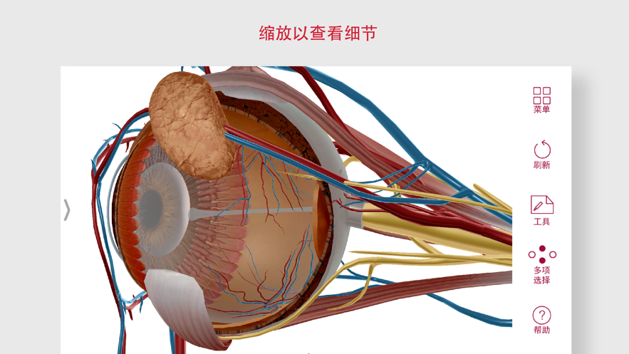 解剖和生理學(xué)APP吾愛最新版安卓下載截圖1