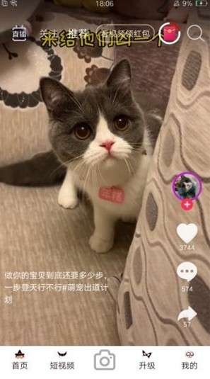 暖暖視頻安卓最新版截圖1