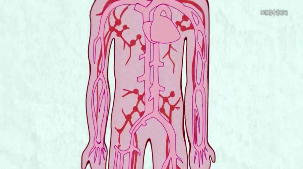 重創(chuàng)的傷口櫻花游戲中文最新版截圖1