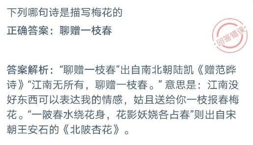 聊贈(zèng)一枝春是描寫梅花的嗎 聊贈(zèng)一枝春螞蟻莊園