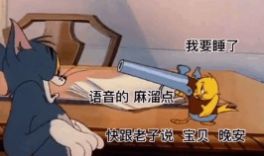 我要睡了快跟老子說寶貝晚安語音的麻溜點(diǎn)不然讓你好看表情包截圖3