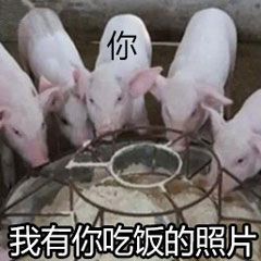 抖音我有你洗澡的照片豬get表情包高清圖片大全截圖4