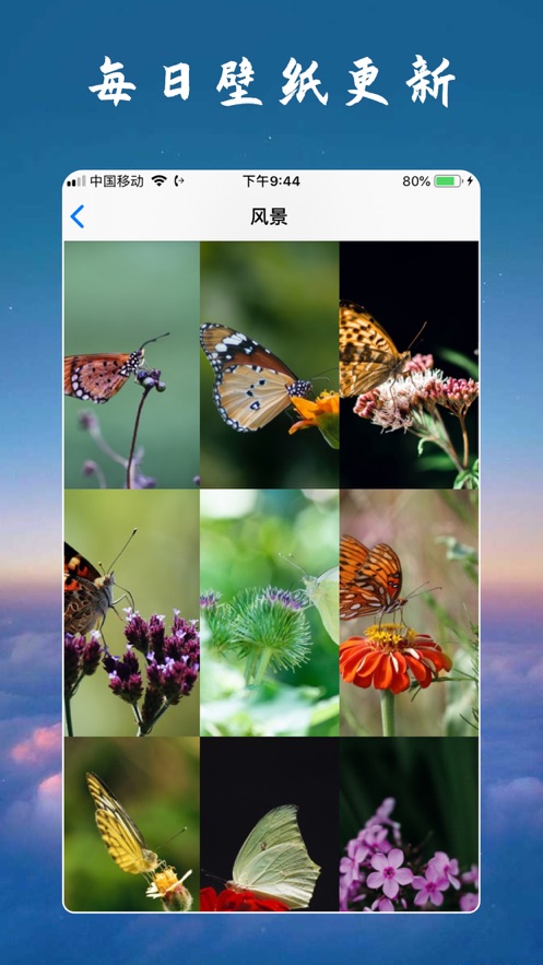 懂我壁紙APP手機(jī)版截圖1