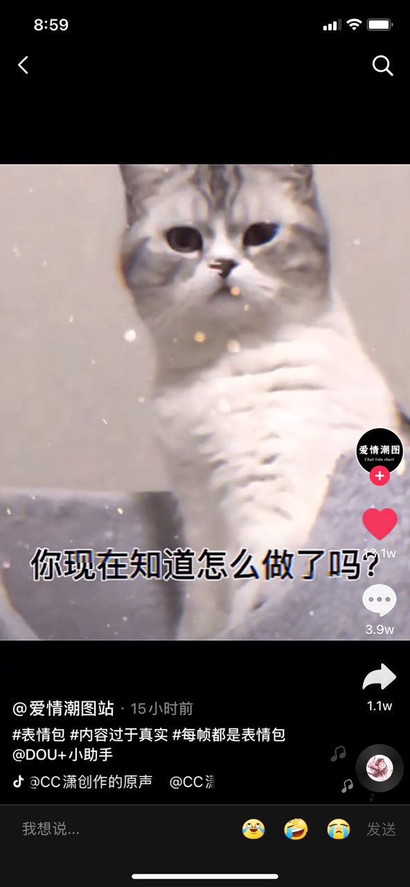 你要去睡覺你和我說晚安了嗎你說愛我了嗎老公叫了嗎你現(xiàn)在知道怎么做了嗎表情包截圖2