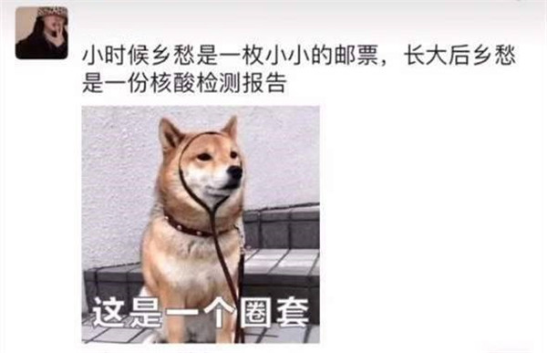 小時(shí)候的鄉(xiāng)愁是一枚小小的郵票長(zhǎng)大后鄉(xiāng)愁是一份核酸報(bào)告表情包圖片合集下載截圖4