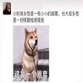 小時候的鄉(xiāng)愁是一枚小小的郵票長大后鄉(xiāng)愁是一份核酸報告表情包圖片合集下載