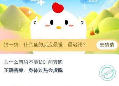 為什么獵豹不能長(zhǎng)時(shí)間奔跑？螞蟻莊園今日課堂答題1月23日