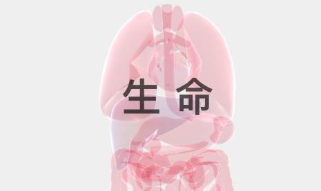 生命life游戲玩法攻略 中文版下載鏈接