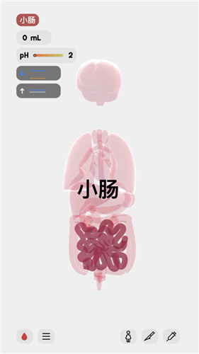 生命人體沙盒模擬器life攻略漢化版下載截圖1