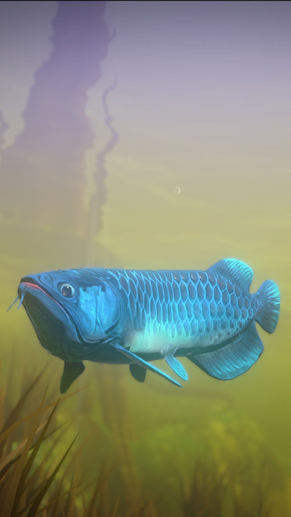 大魚(yú)吃小魚(yú)海底大獵殺游戲手機(jī)版下載截圖3