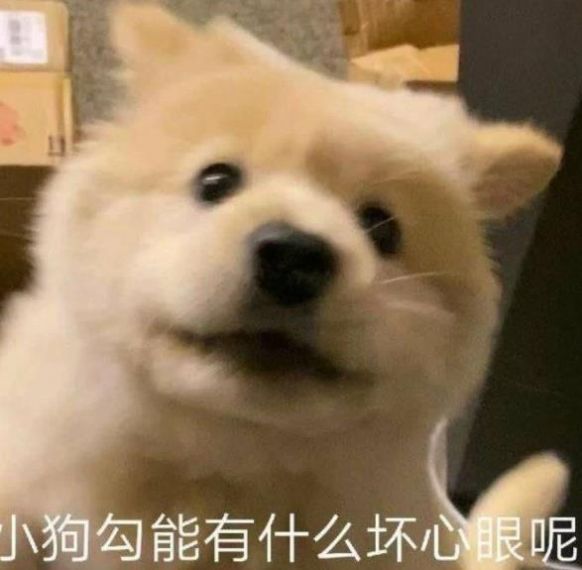抖音小狗勾壞心眼多著呢表情包大全截圖4