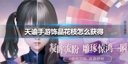 天諭手游飾品花枝怎么獲得 飾品花枝獲得方法一覽