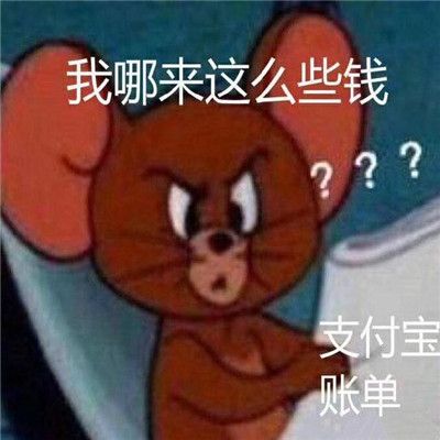 看完支付寶年度賬單的你搞笑圖片表情包截圖1