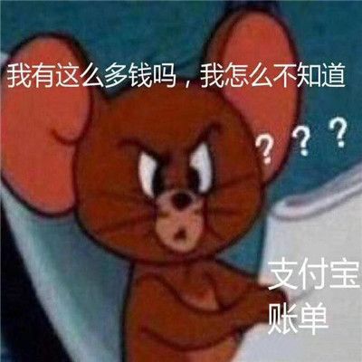 看完支付寶年度賬單的你搞笑圖片表情包截圖3