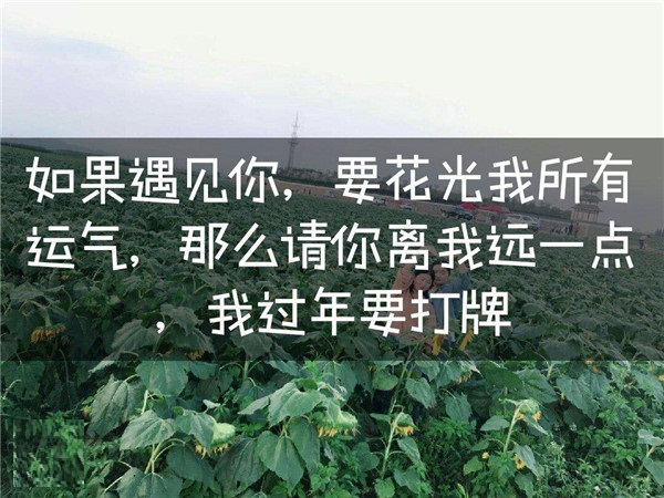 如果遇到你需要花光我所有的運(yùn)氣那請(qǐng)你離我遠(yuǎn)一點(diǎn)我過年要打牌表情包圖片合集截圖1
