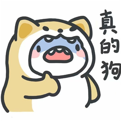 2021很火的鯊魚可愛帶字表情包高清無水印圖片免費(fèi)分享截圖3