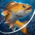 釣魚(yú)大師挑戰(zhàn)游戲最新安卓版
