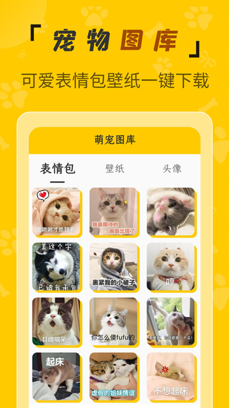 人貓翻譯機app安卓版截圖4