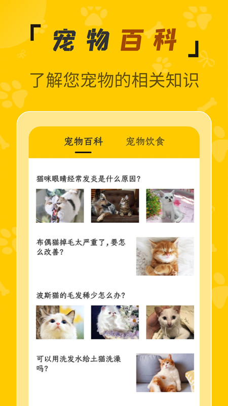 人貓翻譯機app安卓版截圖2