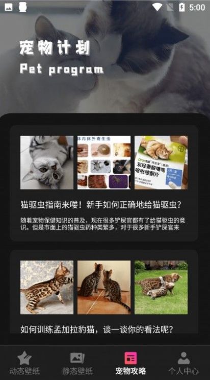 貓咪壁紙安卓版app截圖2