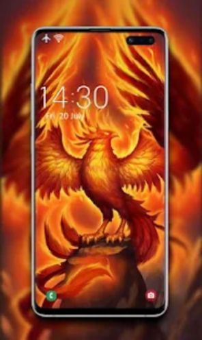 鳳凰壁紙app手機(jī)版下載截圖2