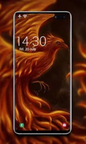 鳳凰壁紙app手機(jī)版下載截圖4