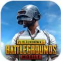 pubg mobile(國際服)免費下載安卓版