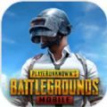 pubg mobile(国际服)中文正式版