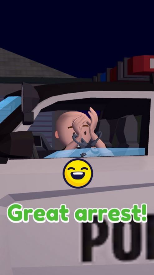 Traffic Cop 3D游戲版截圖1