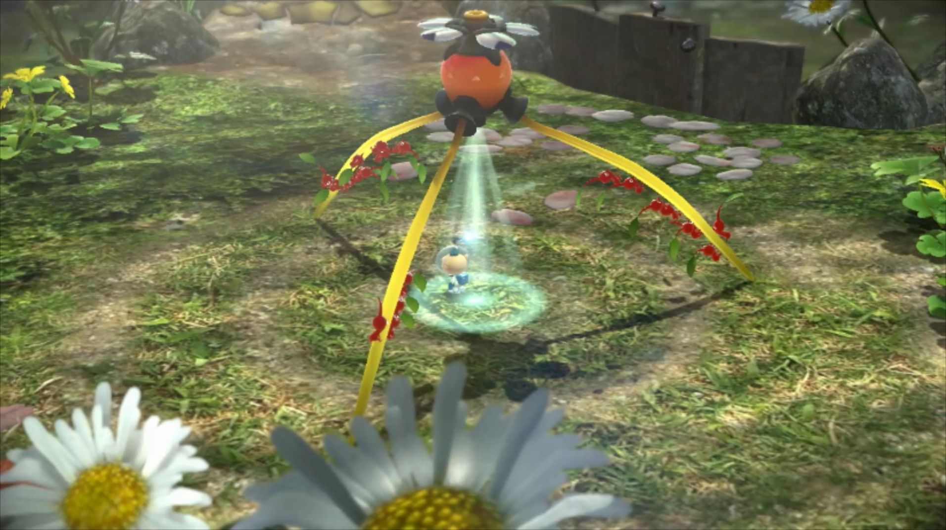 pikmin Bloom AR游戲手機中文版截圖4