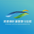 智慧德馬APP版