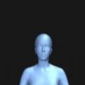 Female Body Visualizer中文版