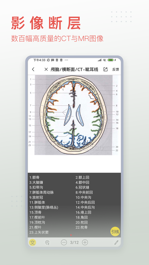 3Dbody解剖圖手機(jī)版app最新客戶端截圖4