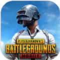 pubg mobile(國際服)正版下載安卓版
