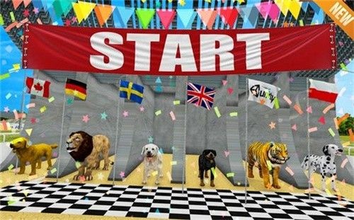 獅子賽跑3D游戲版截圖2