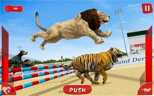 獅子賽跑3D游戲版截圖4