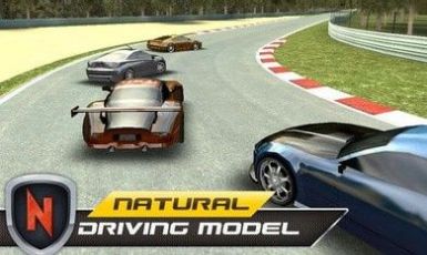 真實賽車速度游戲中文版截圖2